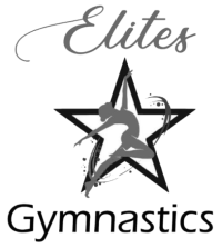 Elites Gymnastics 2025
